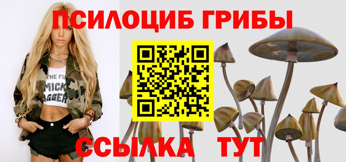 Мариинск  Галлюциногенные грибы мухоморы  Вход с VPN  дарнет шоп  Псилоцибиновые грибы Cubensis 