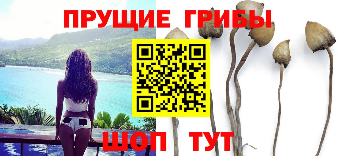 Галлюциногенные грибы GOLDEN TEACHER Мариинск